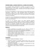 INFORME SOBRE LA UNIDAD DIDÁCTICA: LA MURGA DE MI BARRIO .