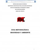 GUIA METODOLÓGICA DE SEGURIDAD Y AMBIENTE