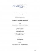 TRABAJO FINAL – GERENCIA INTEGRAL
