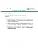 Actividad Estudio de mercado para la apertura de una boutique de ropa para mujeres de cuerpo pronunciados (talla grande)