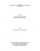 ESTRATEGIA PARA EL DESARROLLO DEL PROCESO ACTIVIDAD 23