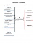 La Palma aceitera genera impactos socio ambientales