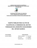 HUERTO FAMILIAR PARA CULTIVO DE CILANTRO EN LA COMUNIDAD DEL SECTOR PARIAGUAN EN EL MUNICIPIO CHAGUARAMAS DEL ESTADO GUARICO.