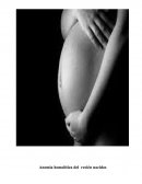 Causas de la enfermedad hemolítica del recién nacido