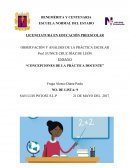 ENSAYO - CONCEPCIONES DE LA PRÁCTICA DOCENTE