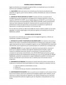 INFORME AGENCIA IVIRGARZAMA