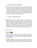 Análisis y evaluación de la demanda