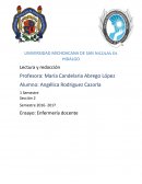 Ensayo: Enfermería docente