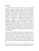 La Diabetes Mellitus Tipo 2