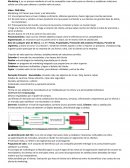 Preocupaciones del mundo, recursos de la persona. Entender y hacer un mundo mejor