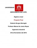 Algebra - Proyecto Final