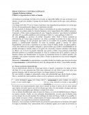 Ensayo de La degradación de Dido en La Eneida