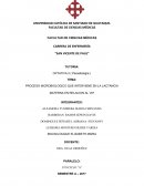 PROCESO MICROBIOLOGICO QUE INTERVIENE EN LA LACTANCIA MATERNA EN RELACION AL VIH