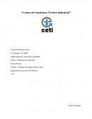 Ensayo: Problemática Ambiental