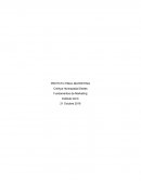 Proyecto de Fundamentos de Marketing