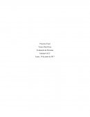 UN EJEMPLO DE PROYECTO FINAL