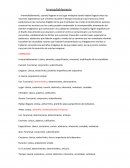 Irremediablemente TEXTO CORREGIDO