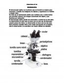 El microscopio óptico es el primero que se inventó se emplea para aumentar o ampliar las imágenes de objetos y organismos no visibles a simple vista