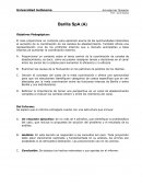 Objetivos Pedagógicos: Barilla SpA