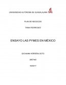 ENSAYO LAS PYMES EN MÉXICO