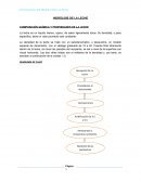 COMPOSICIÓN QUÍMICA Y PROPIEDADES DE LA LECHE