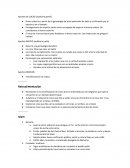 Actividad sobre el Islam