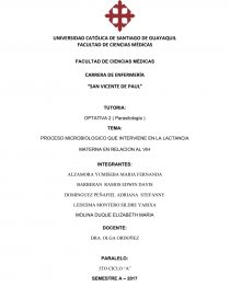 PROCESO MICROBIOLOGICO QUE INTERVIENE EN LA LACTANCIA MATERNA EN RELACION AL VIH. Página 1