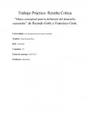 Marco conceptual para la definición del desarrollo sustentable” de Ricardo Goñi y Francisco Goin