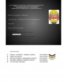 Informe virtualizacion