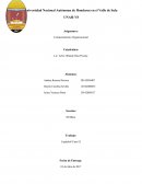 Capitulo 8 Caso #2 Los bonos pueden resultar contraproducentes