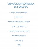 TAREA PRECURSORES DE LA CALIDAD