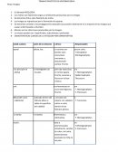 TRABAJO PRACTICO DE MICROBIOLOGIA