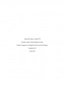 Control 6 investigacion de prevencion de riesgos