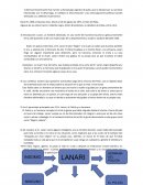 Los conflictos sociales