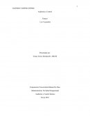 Ensayo Auditoría y Control - Los 4 acuerdos