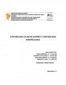 TRABAJO DE CONTABILIDAD CAJA DE AHORRO