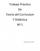 Trabajo Práctico De Teoría del Currículum Y Didáctica