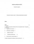 Sistemas especializados de gestión.