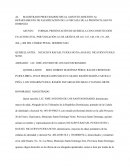 Construya un caso penal y a partir de ese caso, redacte una solicitud de medida de coerción