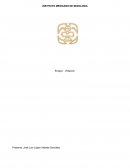 ENSAYO SOBRE VIOLACIÓN