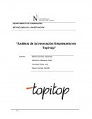 Análisis de la Innovación Empresarial en Topi-top