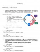Macroeconomía Problemas y aplicaciones