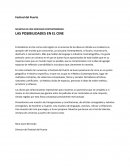 LAS POSIBILIDADES EN EL CINE