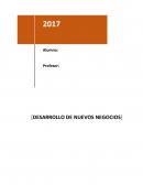 DESARROLLO DE UNA CAMPAÑA COMERCIAL