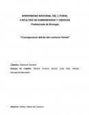 Profesorado de Biología “Concepciones detrás del currículo formal”