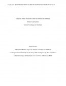 Ensayo de Plan de Desarrollo Urbano de Población de Matehuala