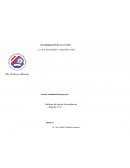 Actas de constitucion de sistemas ejemplos