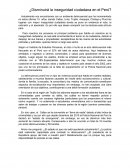 ¿Disminuirá la inseguridad ciudadana en el Perú?