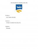 Biología INTERACCIONES