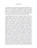 El enfoque